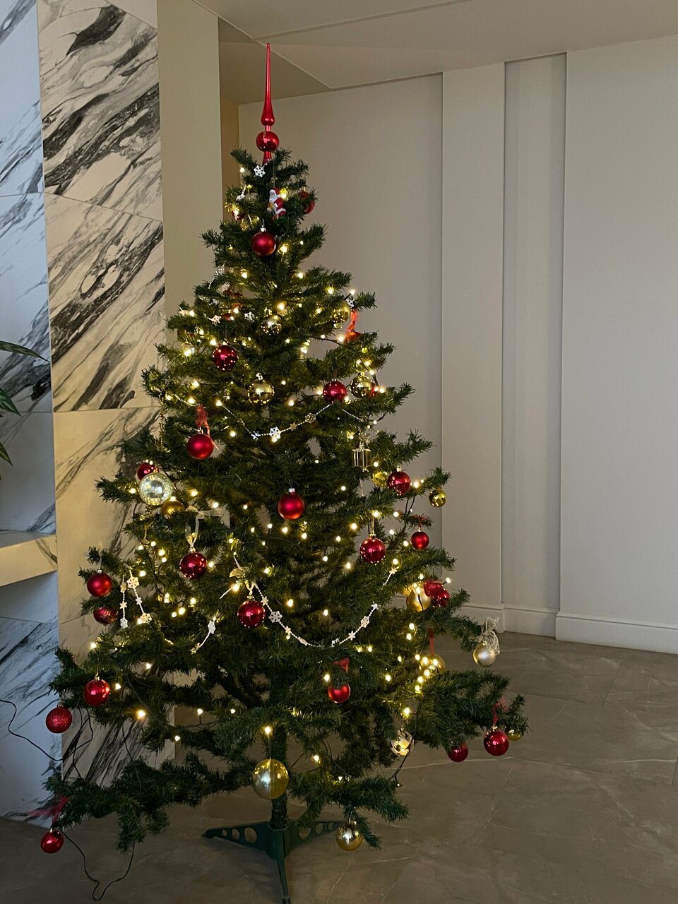 Гостиница Северные зори Череповец-176