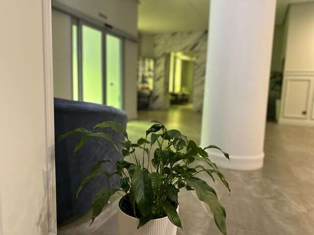 Гостиница Северные зори Череповец-46