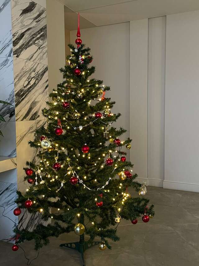 Гостиница Северные зори Череповец-175